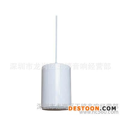 PIPOWER吊頂喇叭PSS-610，吊頂音箱，先鋒音響，廣播揚(yáng)聲器，