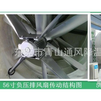 供應青山56寸負壓排風扇廠房排風扇