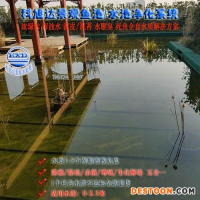 景觀水體凈化技術,科旭達假山魚池凈水器岳陽別墅庭院水池凈化水不綠