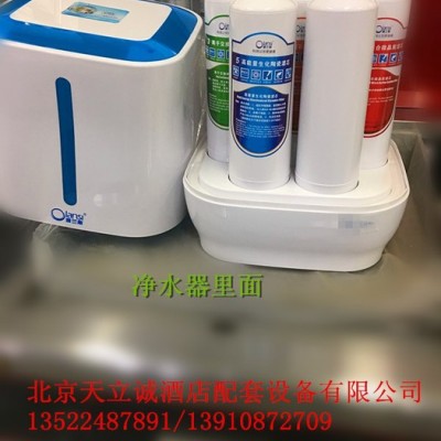 麗浦娜 臥式A1款凈水器礦化直飲機便攜式凈水器