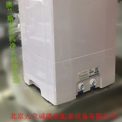 麗浦娜 臥式A2款凈水器礦化直飲機便攜式凈水器