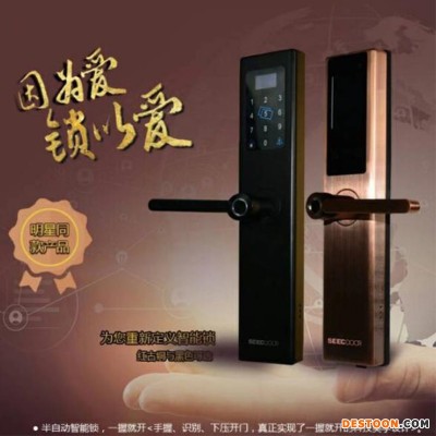 斯科道爾智能鎖智能鎖廠家電子密碼門鎖品牌智能鎖 智能鎖智能鎖廠家智能鎖材料防盜門鎖指紋密碼鎖