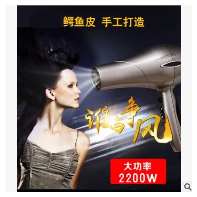 工廠直銷新款大功率電吹風(fēng)恒溫冷熱風(fēng)吹風(fēng)機(jī)酒店用家用發(fā)廊吹風(fēng)機(jī)