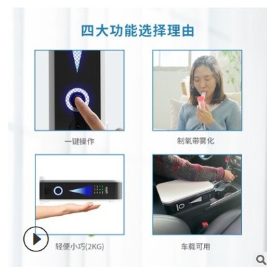 便攜式制氧機家用戶外車載增氧儀三種供電式制氧設備1L小型氧氣機