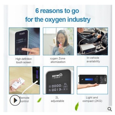 英文版車載家用制氧機(jī) 93%高濃度吸氧機(jī) 2L外貿(mào)出口版氧氣機(jī) 制氧