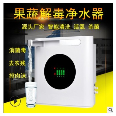 果蔬清洗臭氧消毒機(jī)家用食材果蔬凈化器智能多功能洗菜果蔬機(jī)批發(fā)