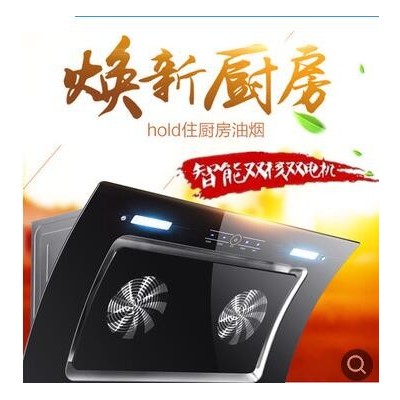 新款弧形觸摸雙電機(jī)抽油煙機(jī)批發(fā)家用公寓會(huì)銷禮品側(cè)吸式油煙機(jī)