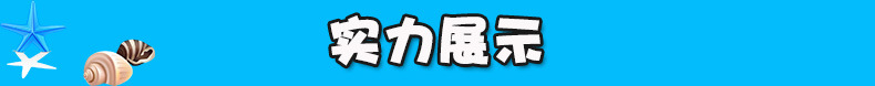 實(shí)力展示