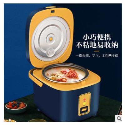 廠家批發迷你電飯煲智能小型1-2人家用預約電飯鍋單人禮品