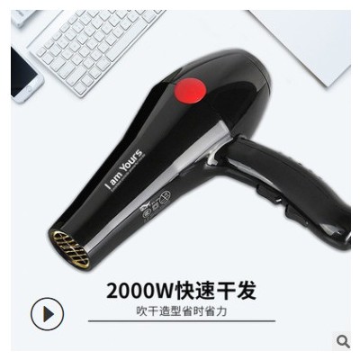 永日電吹風 2000W功率家用吹風機 冷熱風恒溫設(shè)計多檔調(diào)節(jié)吹風筒
