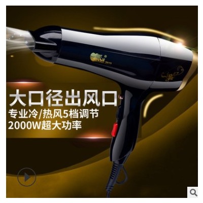 大口徑出風(fēng)口電吹風(fēng)家用大功率發(fā)廊專用吹風(fēng)機(jī)冷熱風(fēng)派誠(chéng)2819