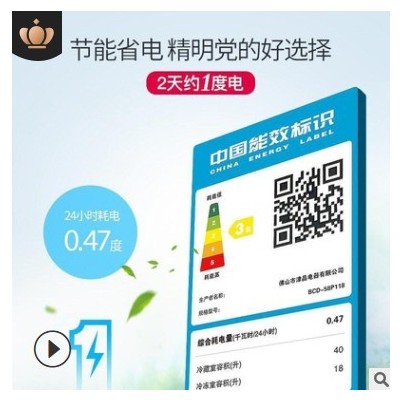 志高冰箱小型雙門立式冷凍冷藏迷你單身宿舍大容量電冰箱送貨上門