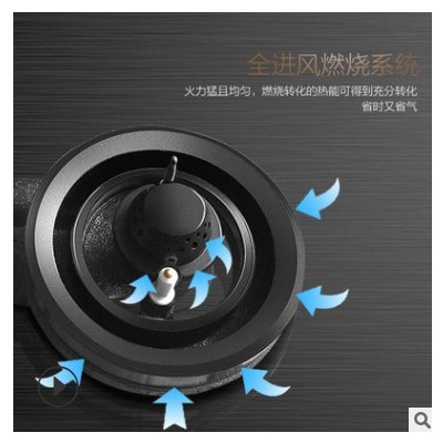 櫻雪燃氣灶雙灶家用臺嵌兩用煤氣灶天然氣液化氣猛火爐具鋼化玻璃