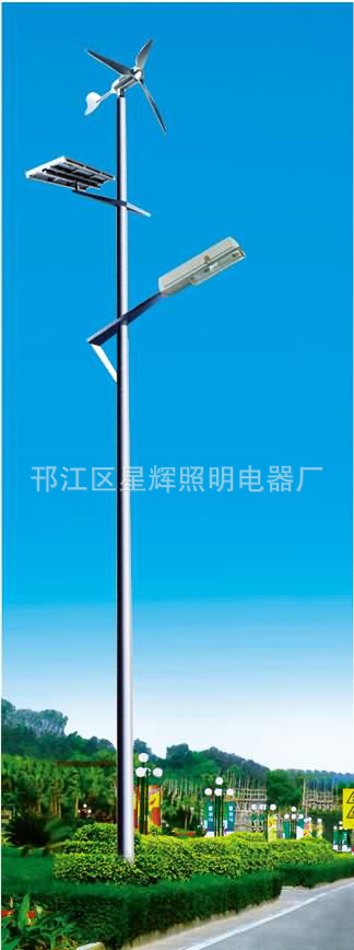 太陽能路燈 (17)