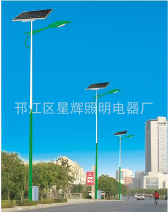 太陽能路燈 (15)