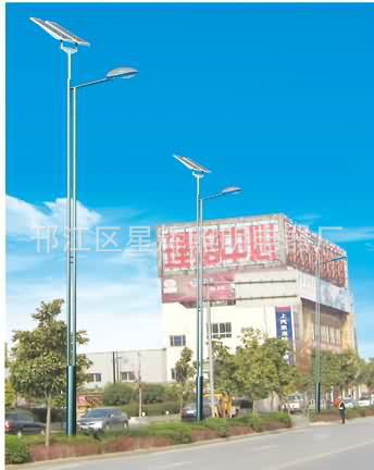 太陽能路燈 (10)