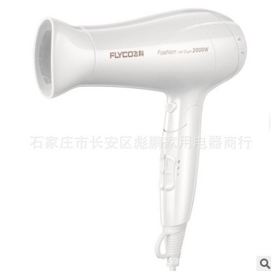 FH6232吹風(fēng)機(jī)大功率理發(fā)店冷熱風(fēng)靜音電風(fēng)吹家用不傷發(fā)負(fù)離子